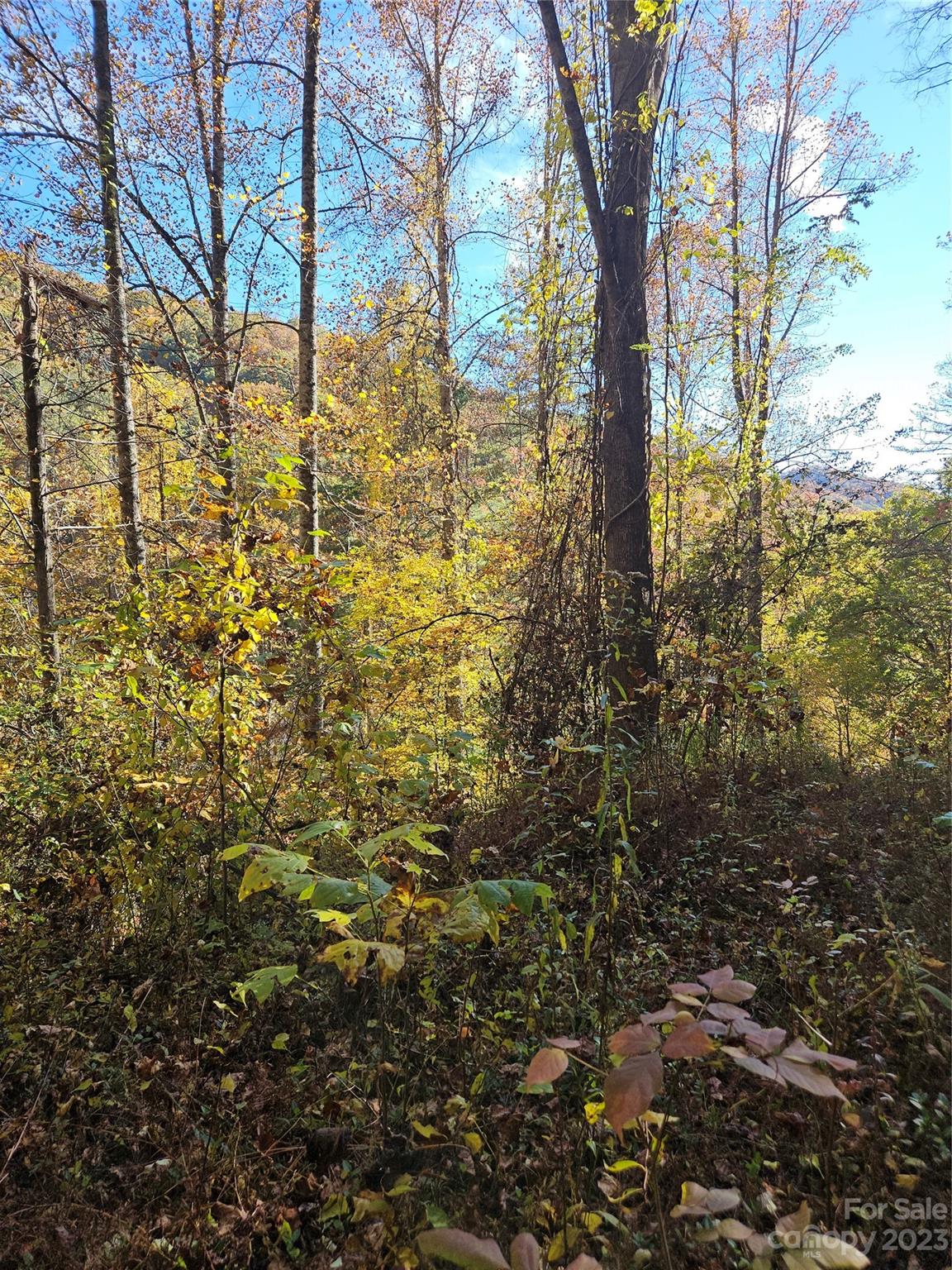 2611 Wayehutta Road Cullowhee, NC 28723 - Photo 16 of 17