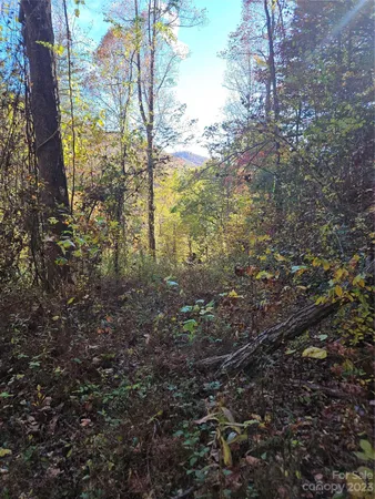 $40,000 | 2611 Wayehutta Road, Cullowhee, NC 28723