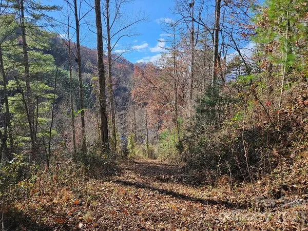 $40,000 | 2611 Wayehutta Road, Cullowhee, NC 28723