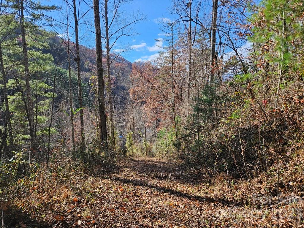 2611 Wayehutta Road Cullowhee, NC 28723 - Photo 2 of 17