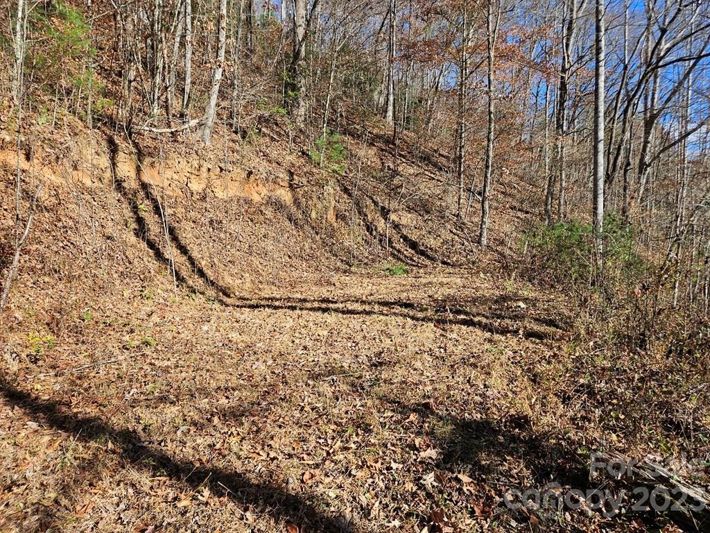 2611 Wayehutta Road Cullowhee, NC 28723 - Photo 3 of 17