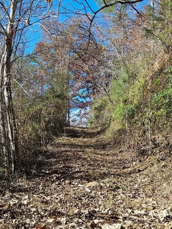 $40,000 | 2611 Wayehutta Road, Cullowhee, NC 28723