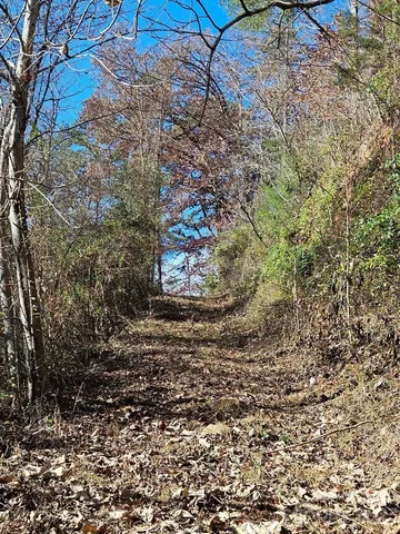 $40,000 | 2611 Wayehutta Road, Cullowhee, NC 28723