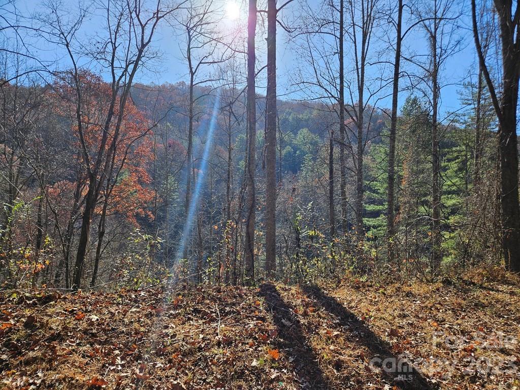 2611 Wayehutta Road Cullowhee, NC 28723 - Photo 6 of 17