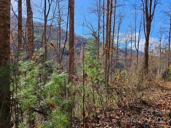 $40,000 | 2611 Wayehutta Road, Cullowhee, NC 28723