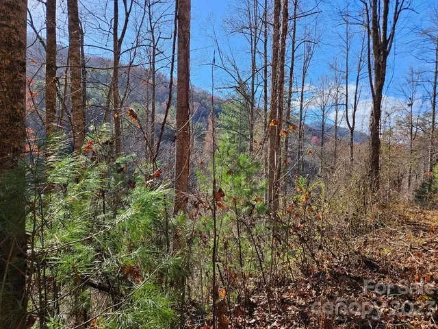 $40,000 | 2611 Wayehutta Road, Cullowhee, NC 28723