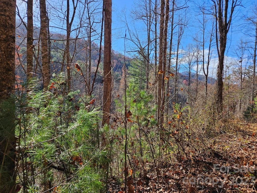 2611 Wayehutta Road Cullowhee, NC 28723 - Photo 7 of 17