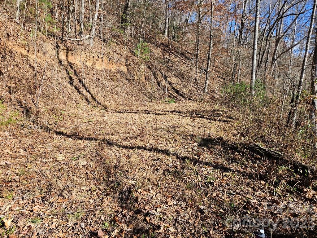 2611 Wayehutta Road Cullowhee, NC 28723 - Photo 8 of 17