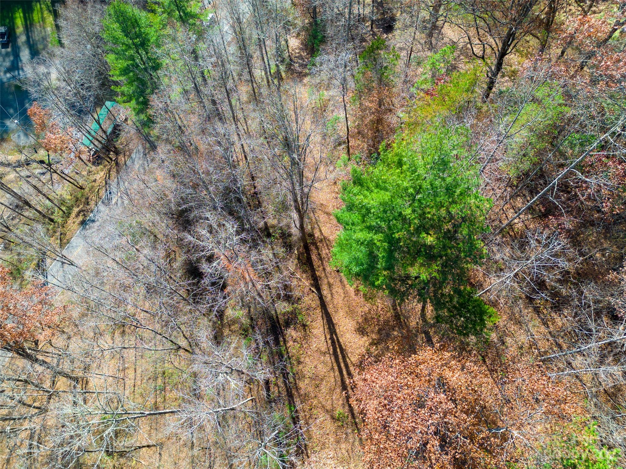 2611 Wayehutta Road Cullowhee, NC 28723 - Photo 9 of 17