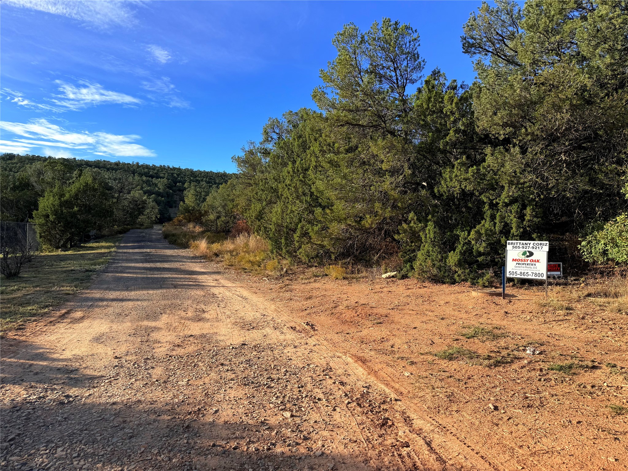 9 Peterson Road Edgewood, NM 87015 - Photo 3 of 9