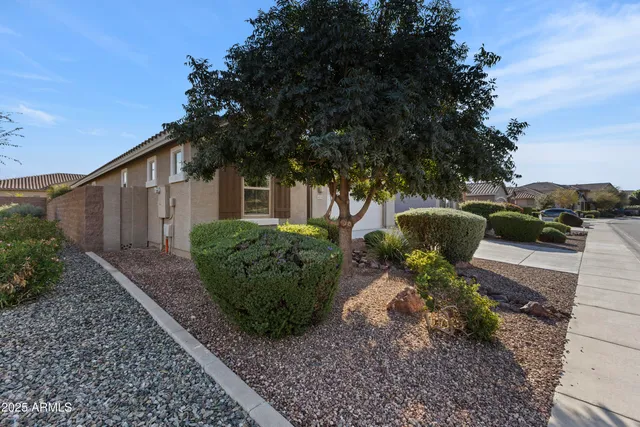 a view of a backyard with plants and a garden