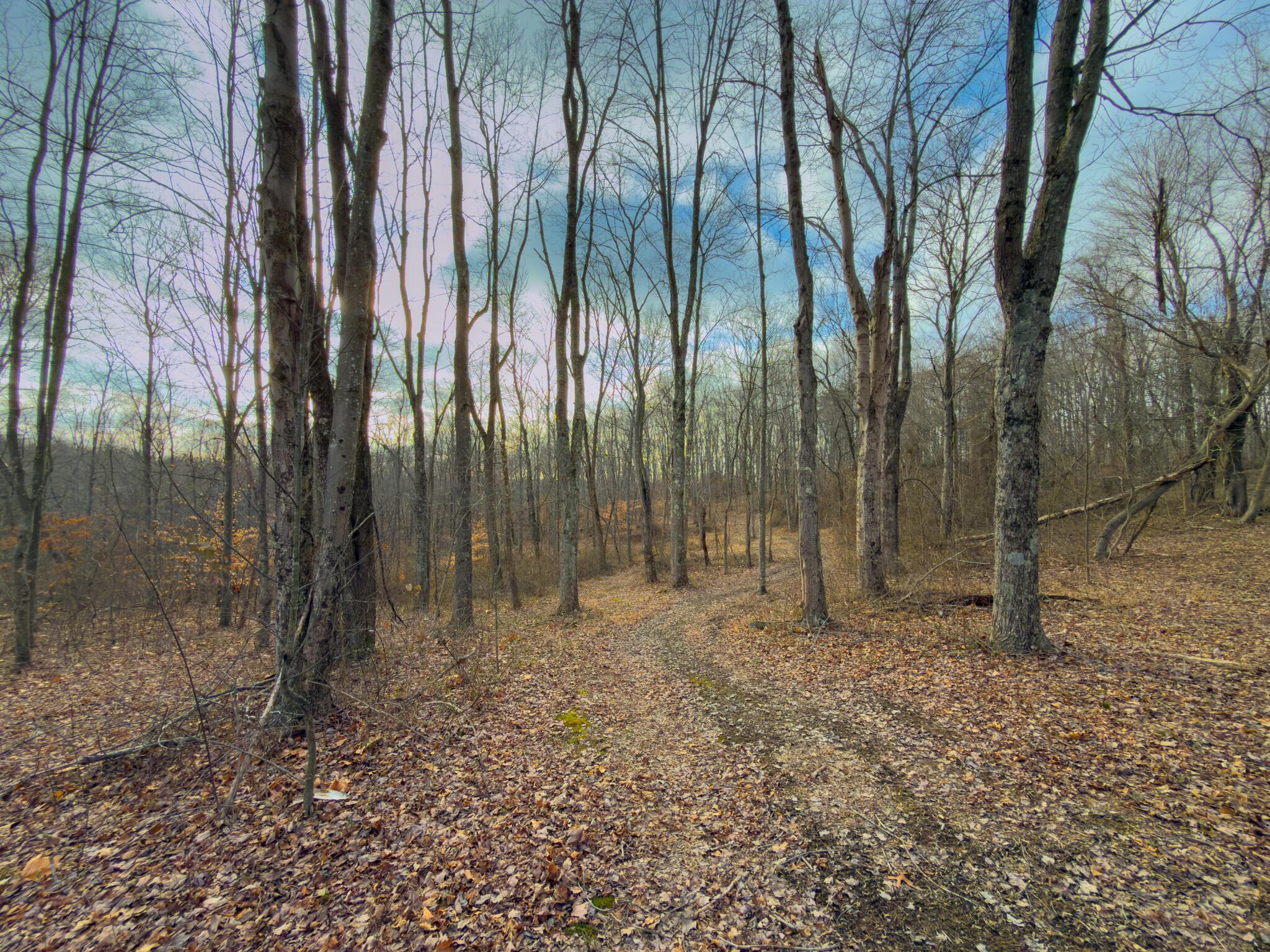 0 Long Fork Road Piketon, OH 45661 - Photo 29 of 37 Long fork rd.-29