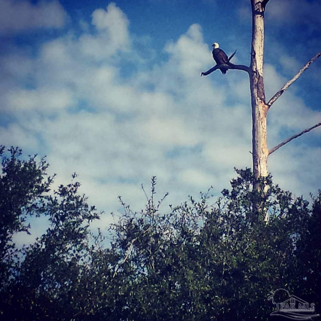 1956 Crown Pointe Boulevard Pensacola, FL 32506 - Photo 48 of 68