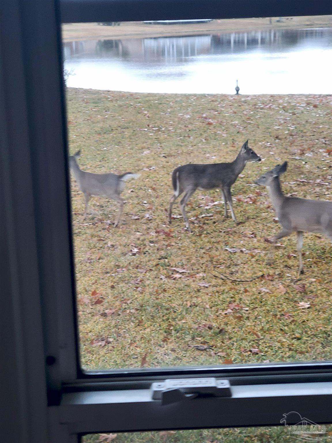 1956 Crown Pointe Boulevard Pensacola, FL 32506 - Photo 49 of 68