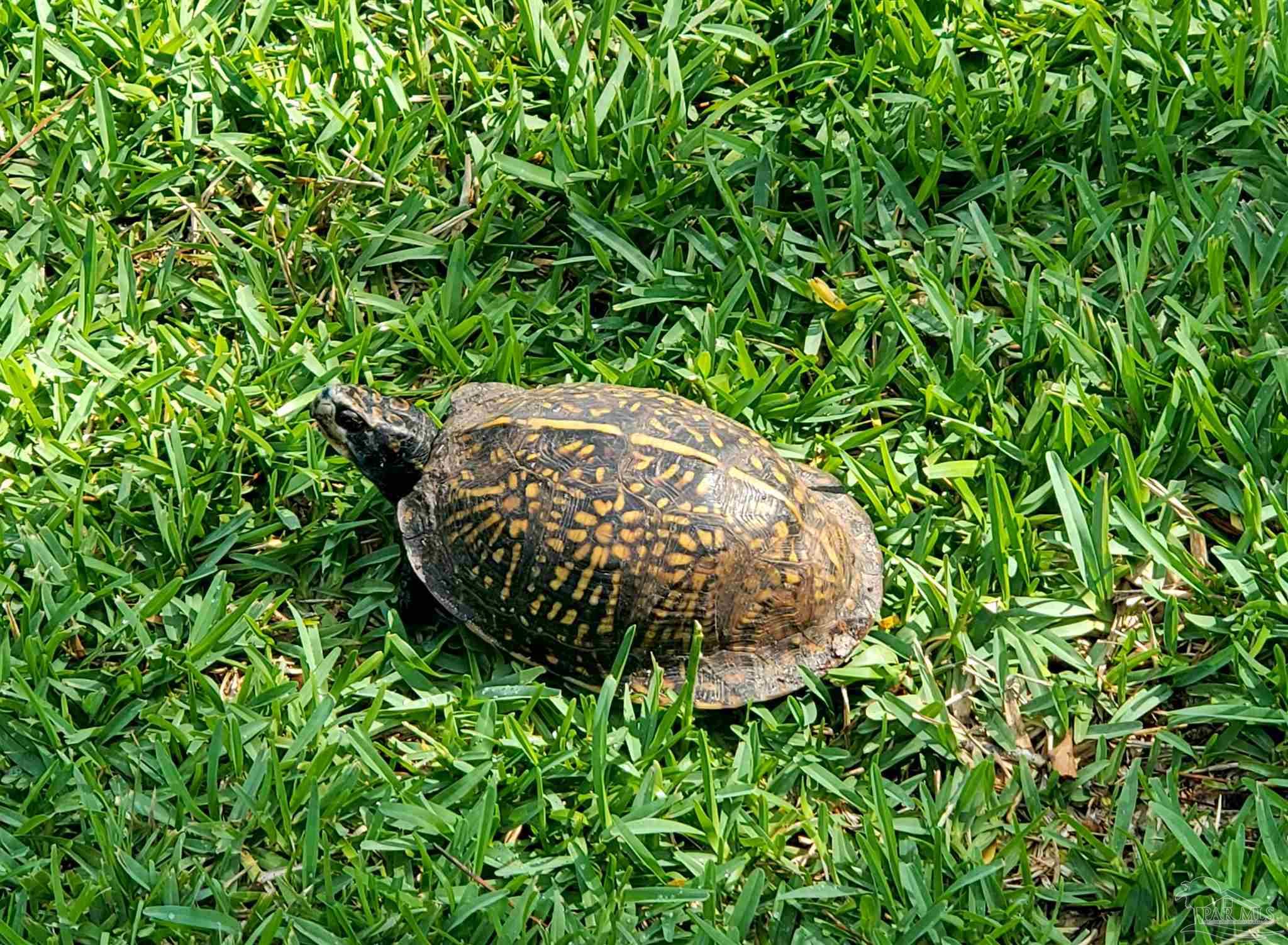 1956 Crown Pointe Boulevard Pensacola, FL 32506 - Photo 50 of 68
