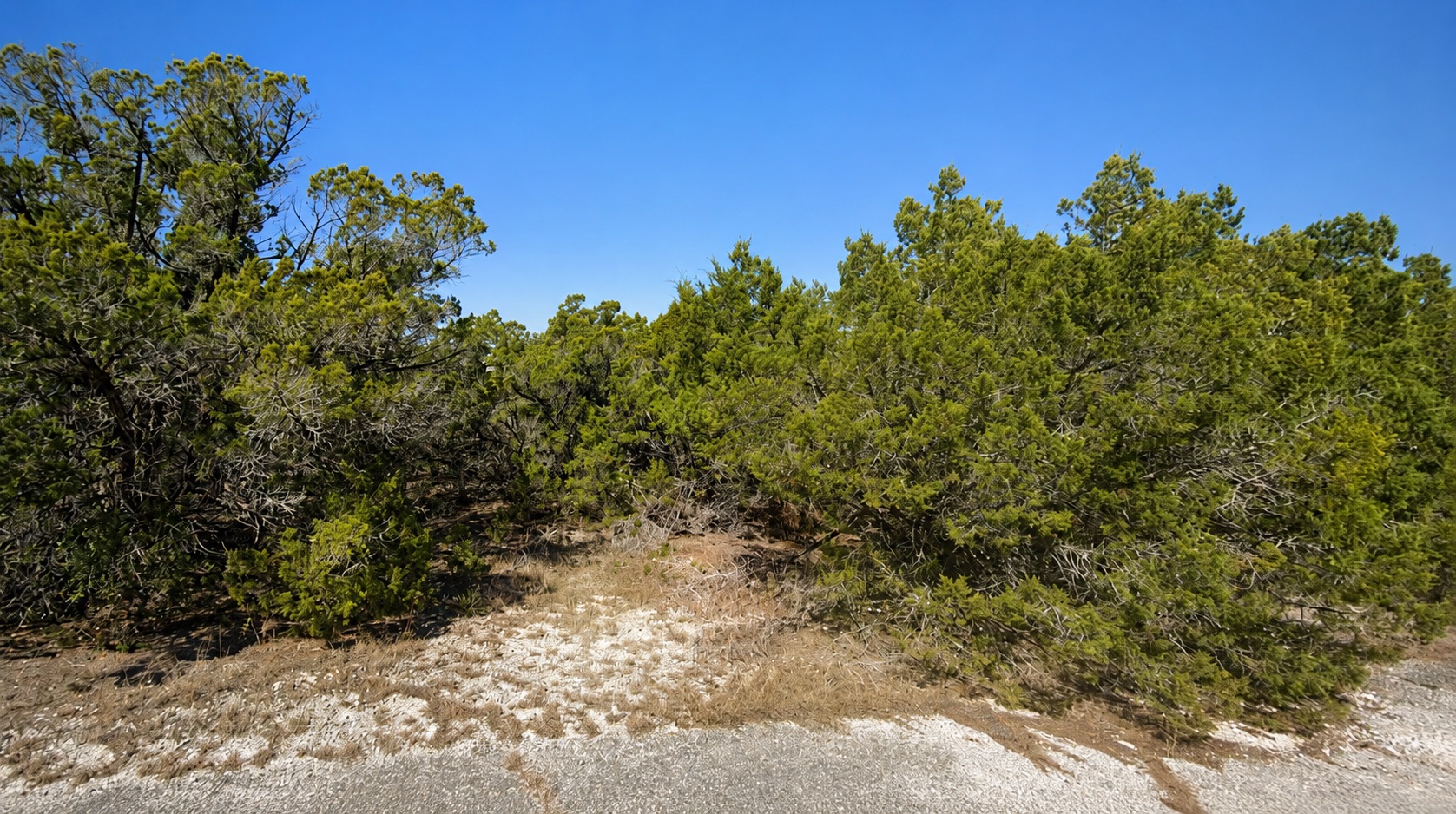 8404 Angus Trail Leander, TX 78645 - Photo 1 of 4 Street view