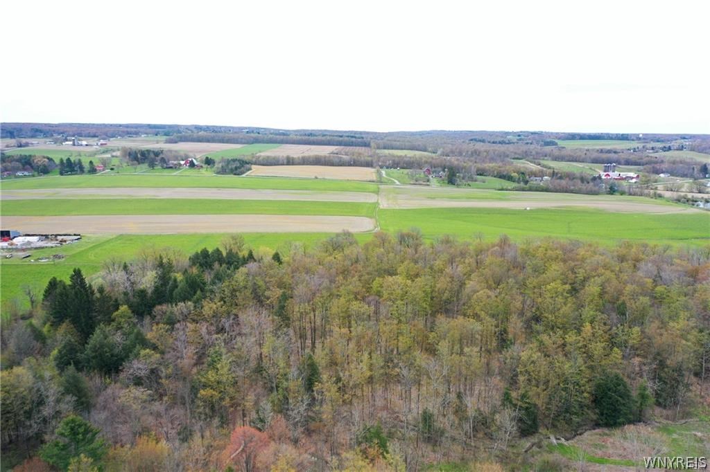 4614 Eckhardt Road Boston, NY 14057 - Photo 7 of 34