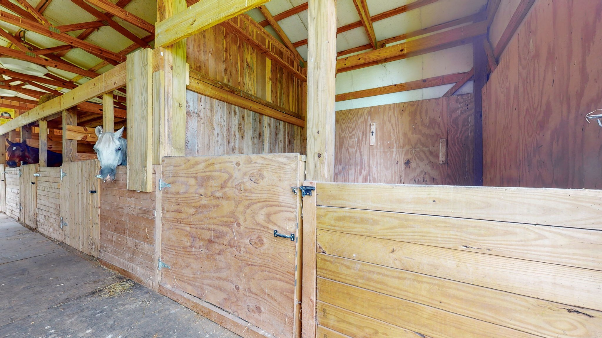 388 Swamp Road Eagleville, TN 37060 - Photo 45 of 68 Gallery Image 45