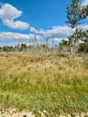 $48,500 | Lot 17 West Fairway Street, Onekama, MI 49675