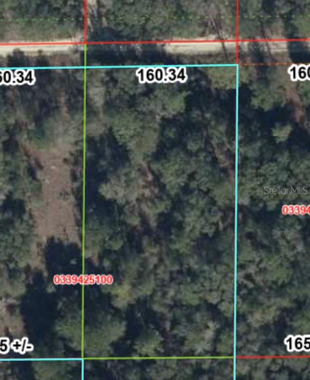 Tbd Northeast 83rd Lane Bronson, FL 32621 - Photo 3 of 3