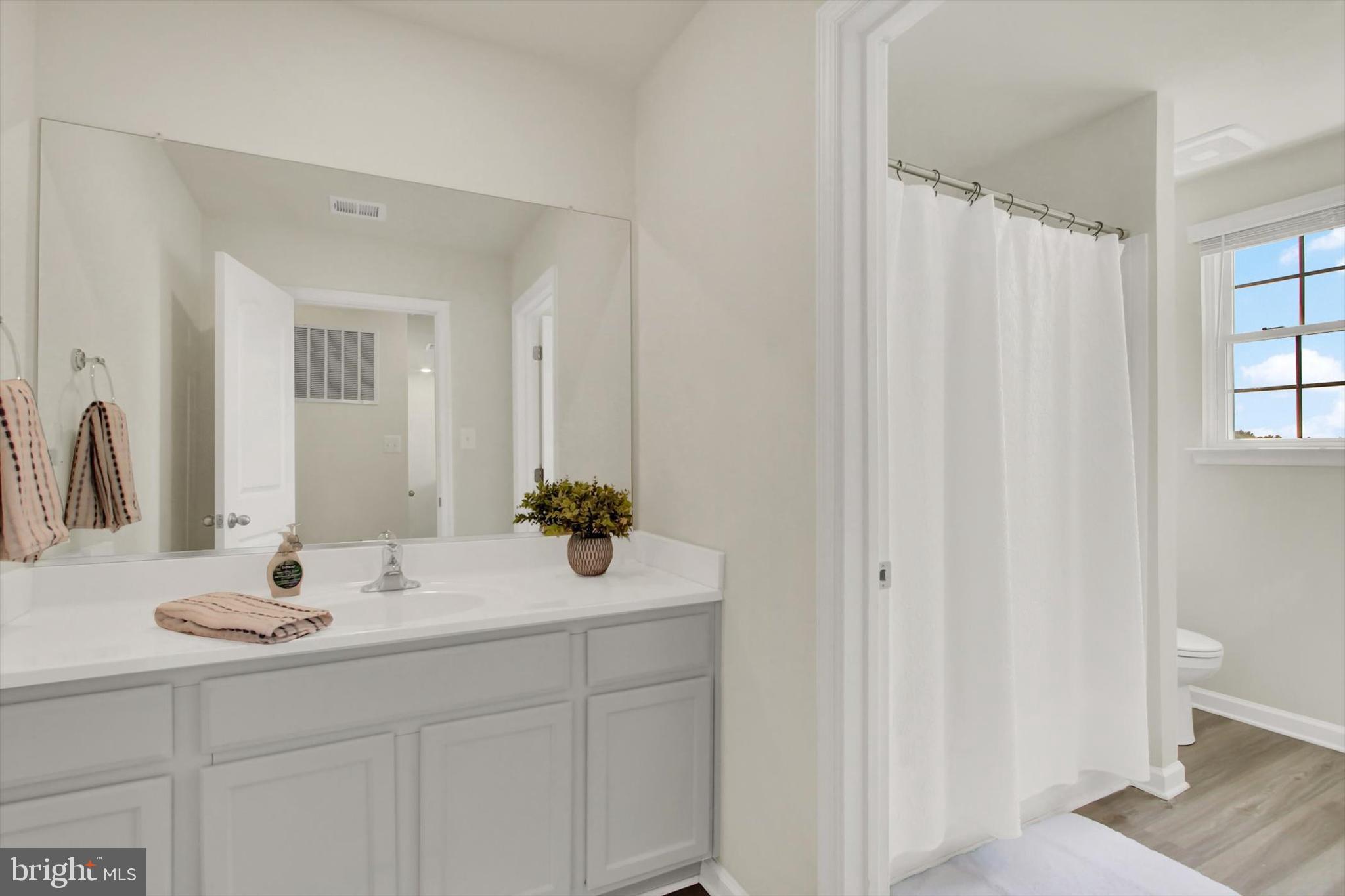251 Piedmont Way Hanover, PA 17331 - Photo 24 of 29 a bathroom with a sink and a mirror