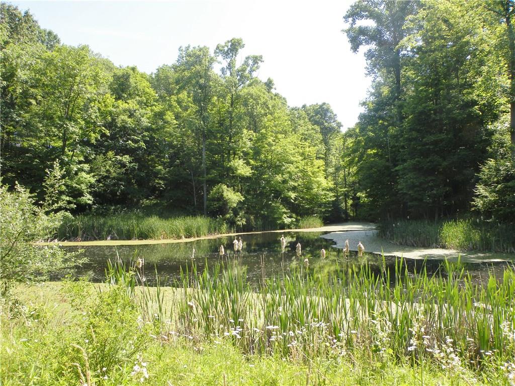 100 Dodds Ridge Road Wind Ridge, PA 15380 - Photo 19 of 20 100 Dodds Ridge Road