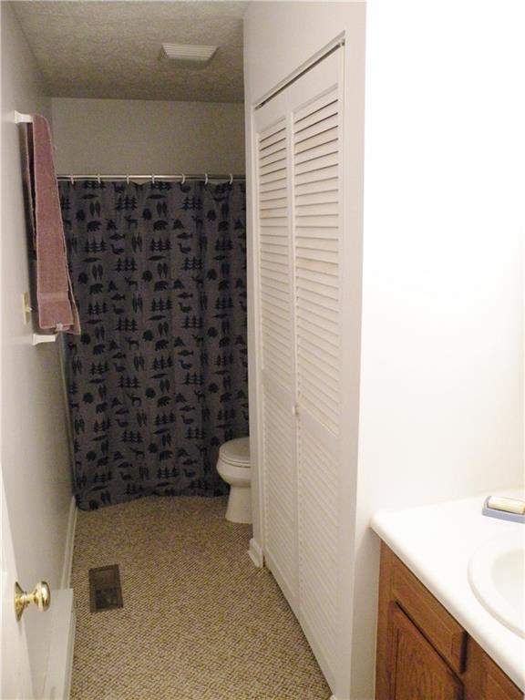 100 Dodds Ridge Road Wind Ridge, PA 15380 - Photo 8 of 20 Full Bath 100 Dodds Ridge Road