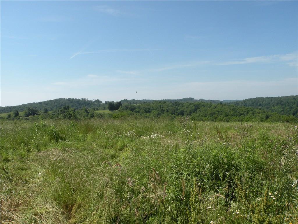 100 Dodds Ridge Road Wind Ridge, PA 15380 - Photo 9 of 20 100 Dodds Ridge Road