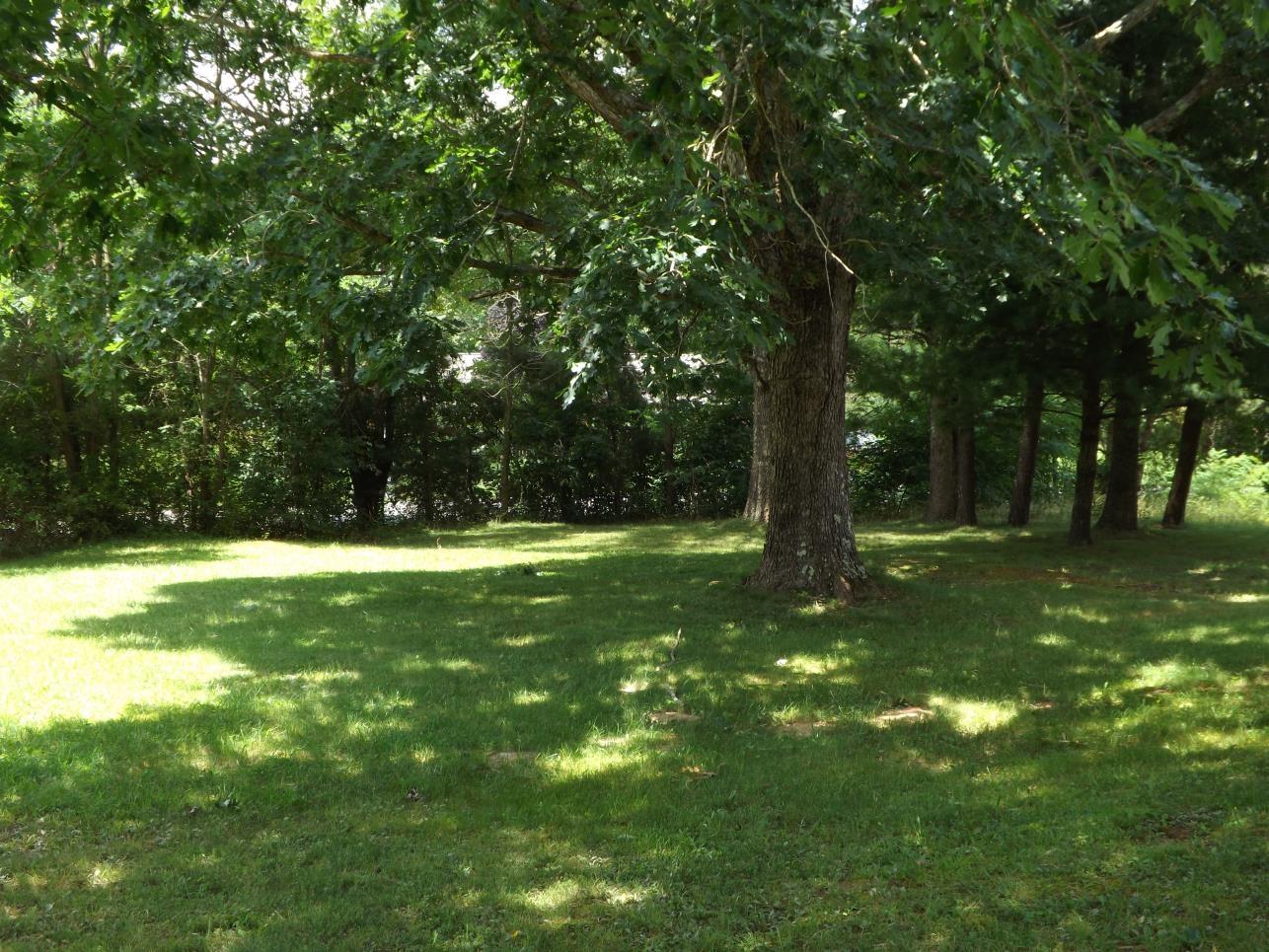 6183 Genesis Road Crossville, TN 38571 - Photo 5 of 25 VIEW OF PROPERTY