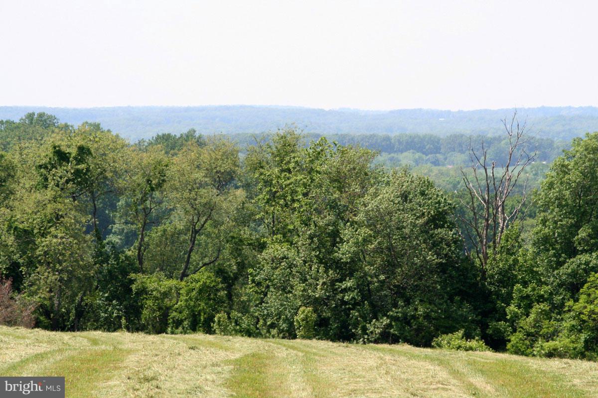 2600 McComas Road White Hall, MD 21161 - Photo 24 of 30 View
