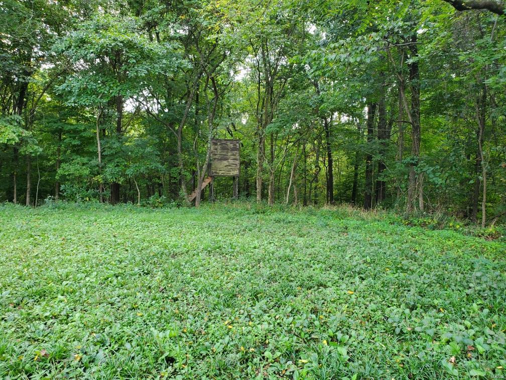 0 G Road Prairie du Rocher, IL 62277 - Photo 4 of 11