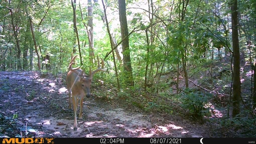 0 G Road Prairie du Rocher, IL 62277 - Photo 6 of 11