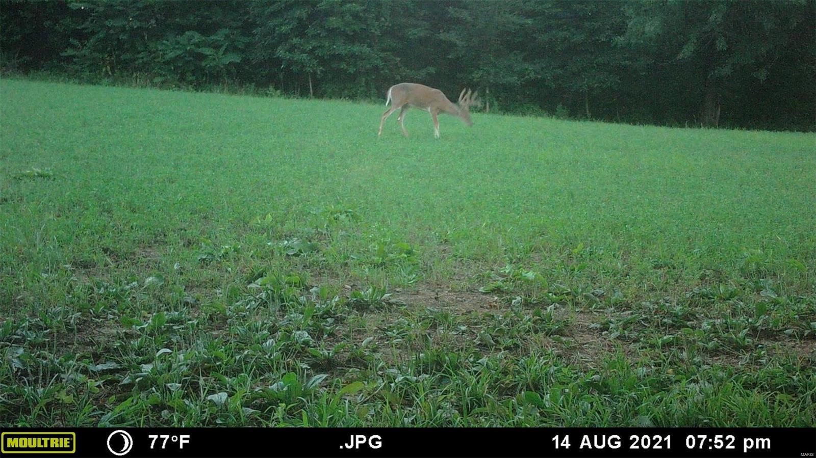 0 G Road Prairie du Rocher, IL 62277 - Photo 7 of 11