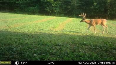 0 G Road Prairie du Rocher, IL 62277 - Photo 8 of 11