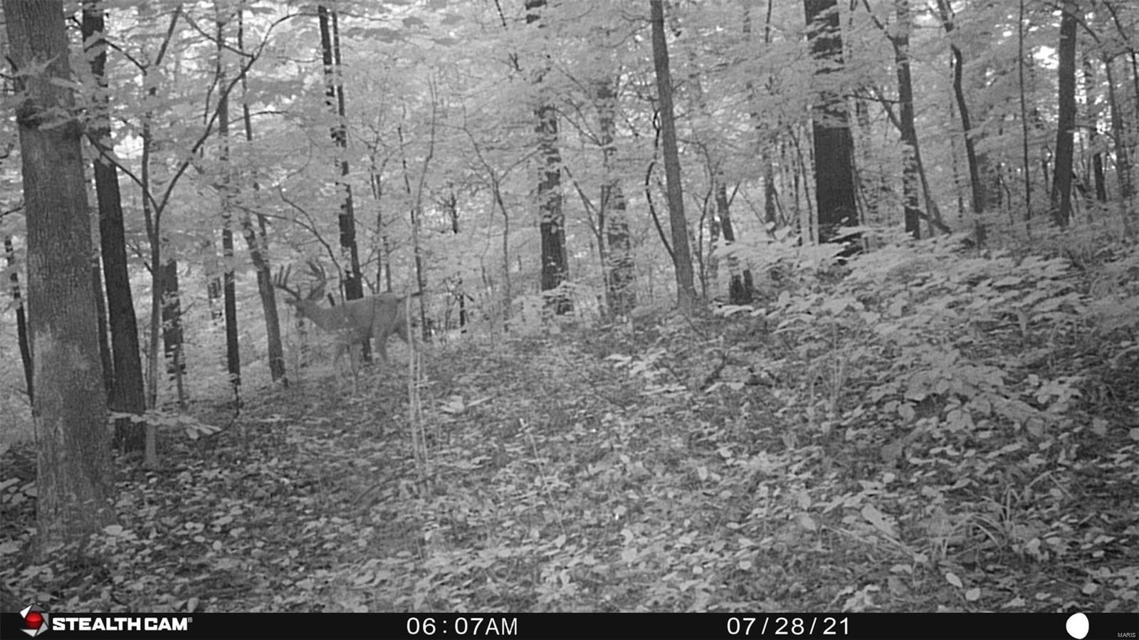 0 G Road Prairie du Rocher, IL 62277 - Photo 9 of 11