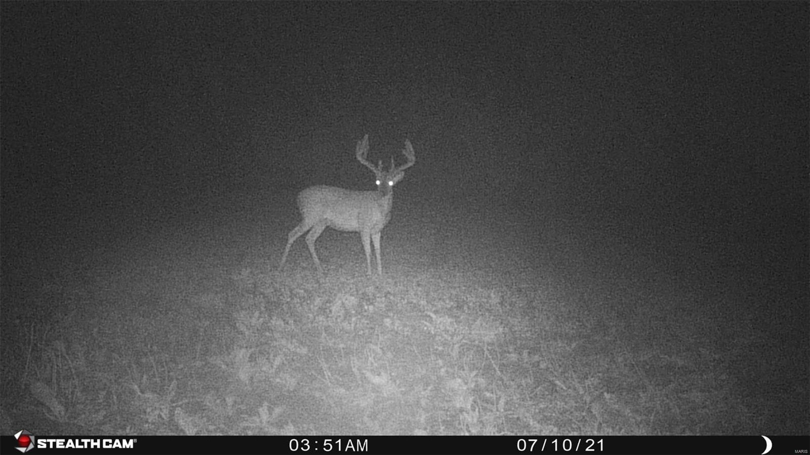 0 G Road Prairie du Rocher, IL 62277 - Photo 10 of 11