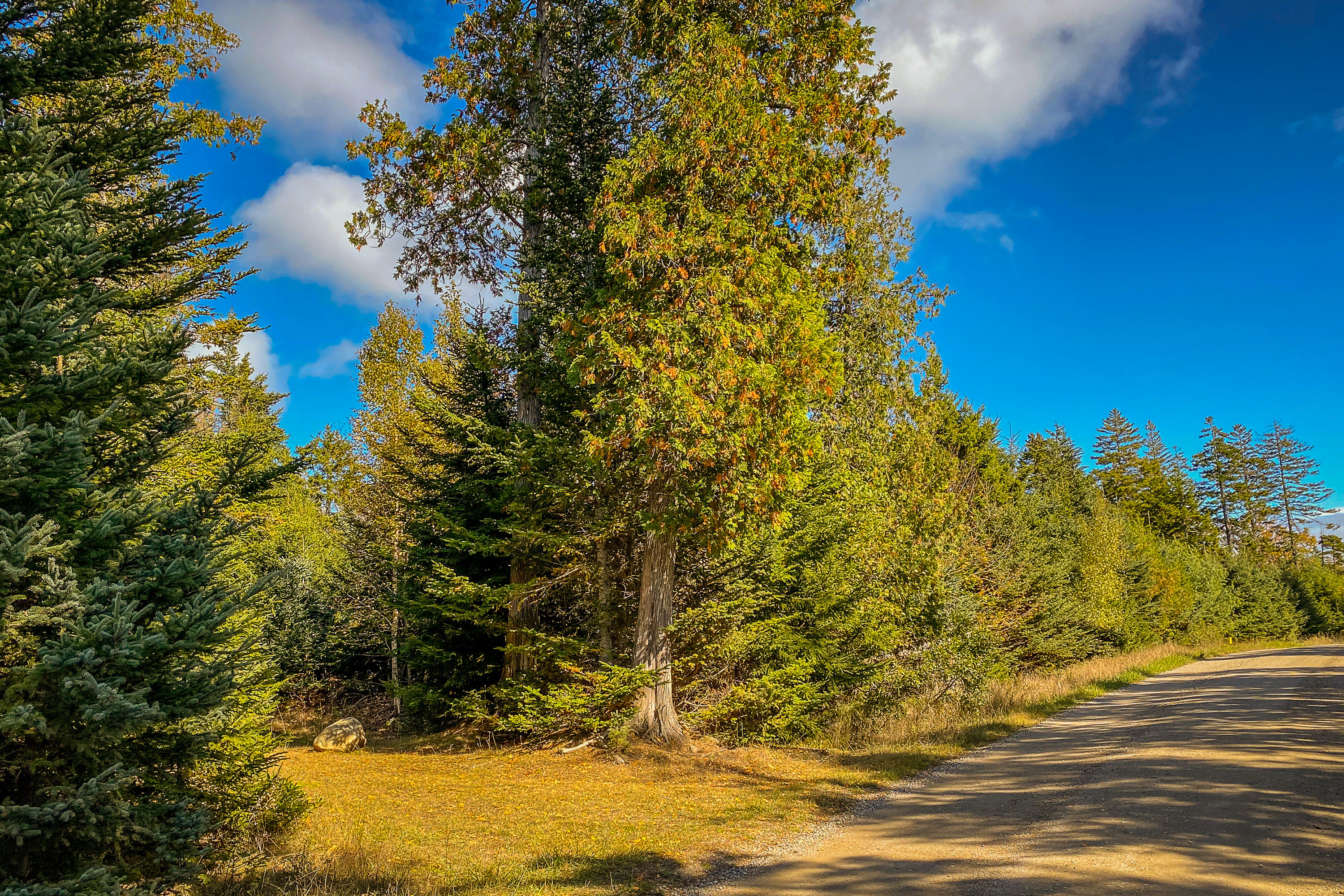 13 Hermit's Point Road Islesboro, ME 04848 - Photo 26 of 32 13HermitsPoint_29_S_print