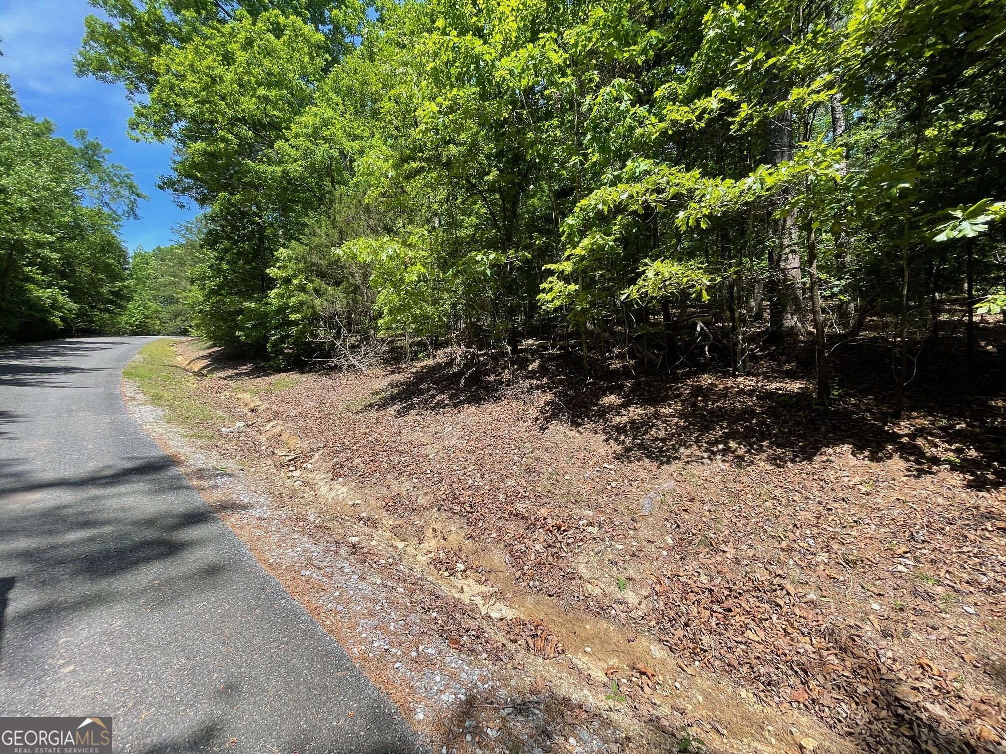 Tract 2 Chalcrest Way Cave Spring, GA 30124 - Photo 12 of 52 Gallery Image 12