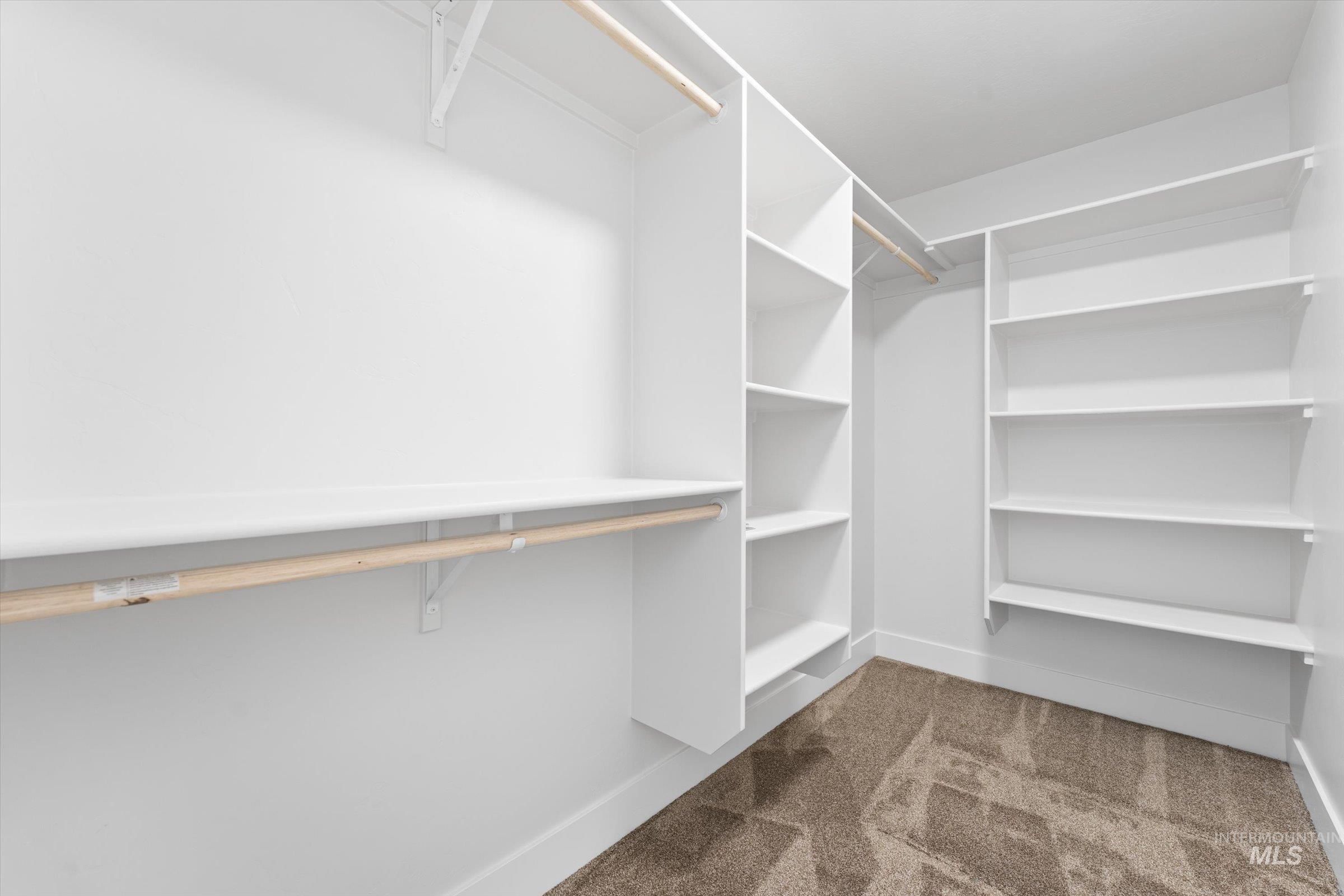 1142 Velvet Loop Wilder, ID 83676 - Photo 14 of 27 Walk in closet with carpet flooring