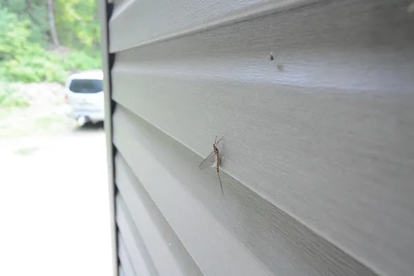 $425,000 | 792 W Road, Portage Lake, ME 04768