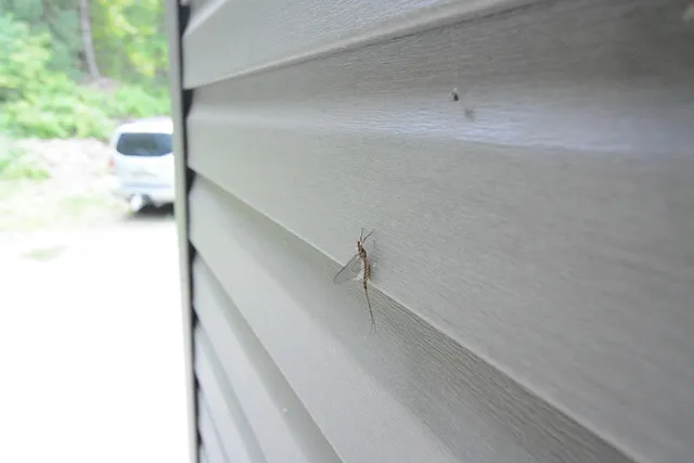 $425,000 | 792 W Road, Portage Lake, ME 04768