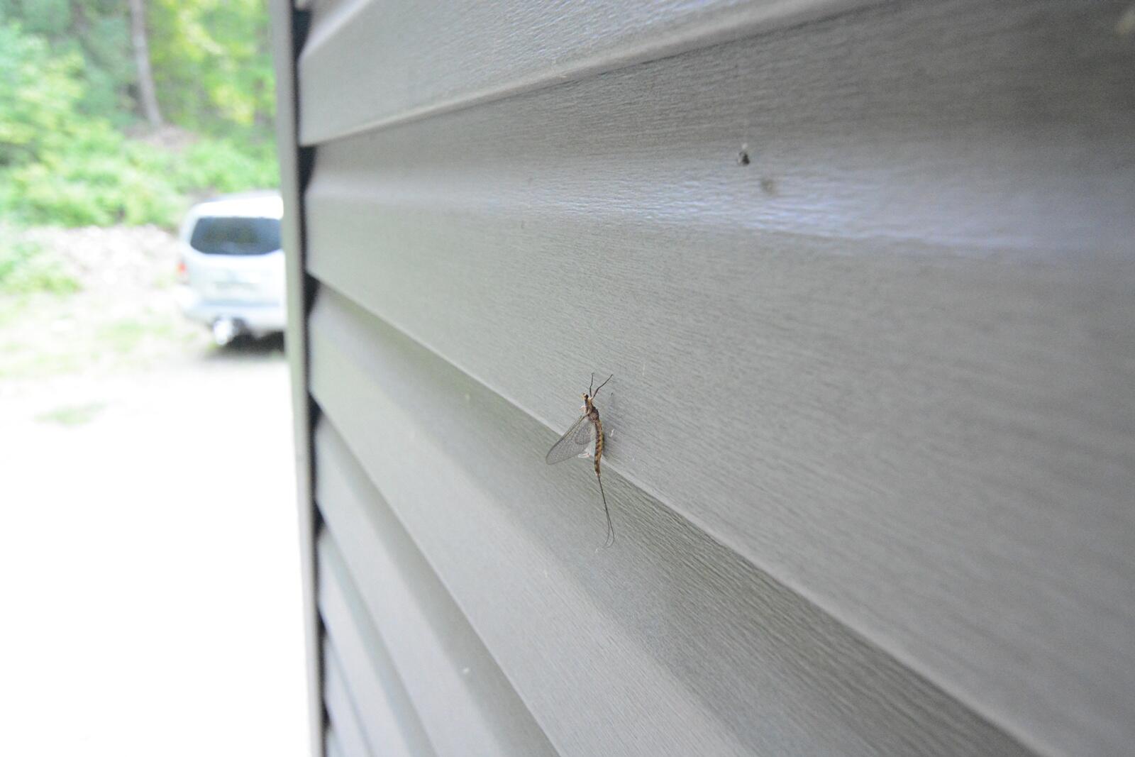 792 W Road Portage Lake, ME 04768 - Photo 27 of 32 DSC_8540