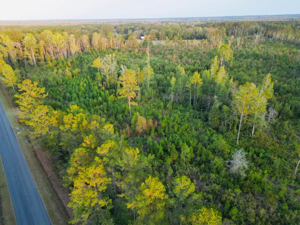 $1,700,000 | 0 Peniel Road, Walterboro, SC 29488