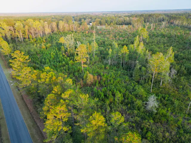 $1,850,000 | 0 Peniel Road, Walterboro, SC 29488