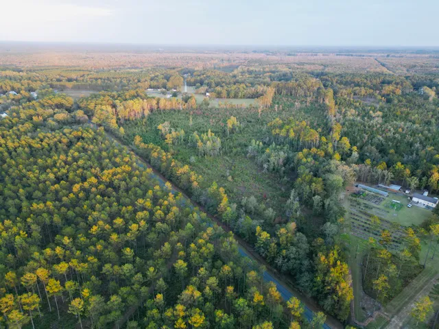 $1,850,000 | 0 Peniel Road, Walterboro, SC 29488