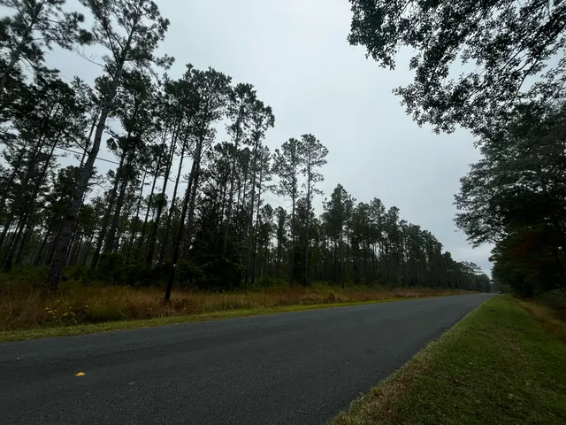 $1,850,000 | 0 Peniel Road, Walterboro, SC 29488