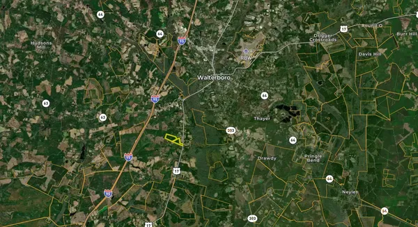 $1,700,000 | 0 Peniel Road, Walterboro, SC 29488