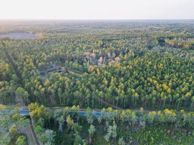 $1,850,000 | 0 Peniel Road, Walterboro, SC 29488