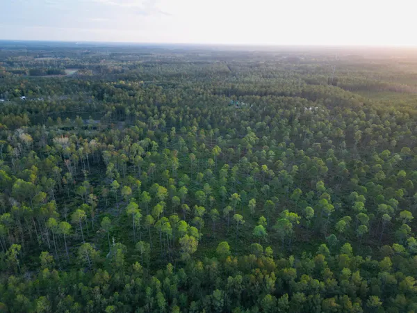 $1,700,000 | 0 Peniel Road, Walterboro, SC 29488