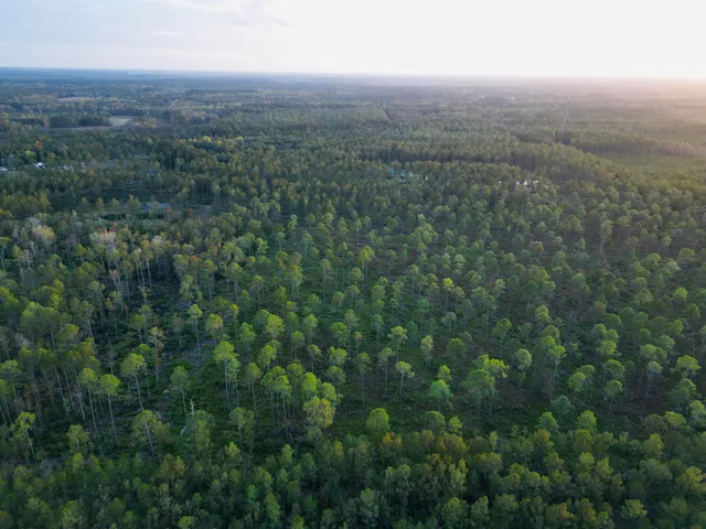 $1,850,000 | 0 Peniel Road, Walterboro, SC 29488